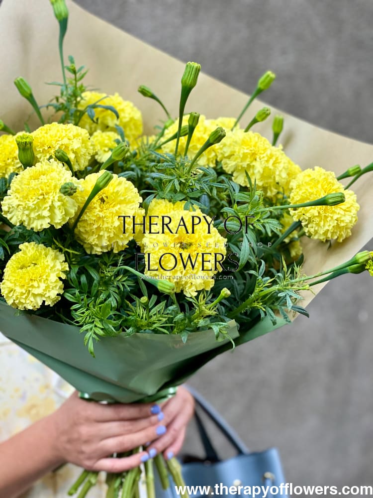Tagetes erecta Nosento Limegreen therapyofflowers.com