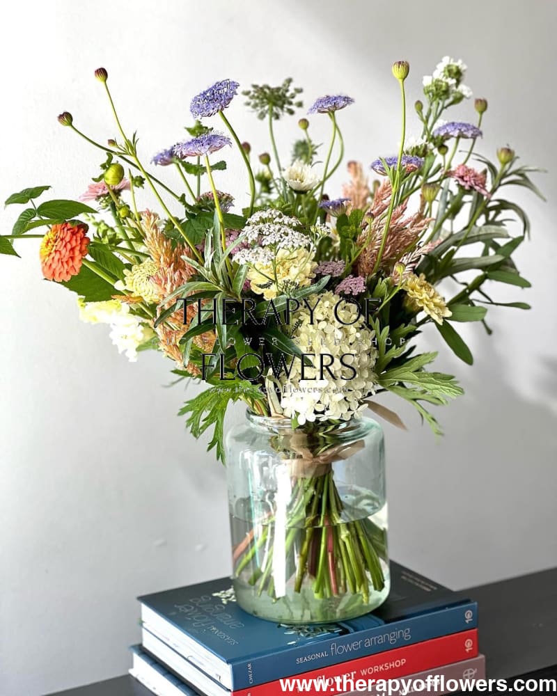 Didiscus caeruleus Lace Blue | Lace Flower - 50 seeds / 50 cm - seeds