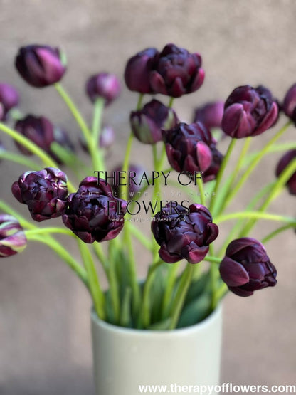 Tulip Black Hero | Late Double Tulip therapyofflowers.com