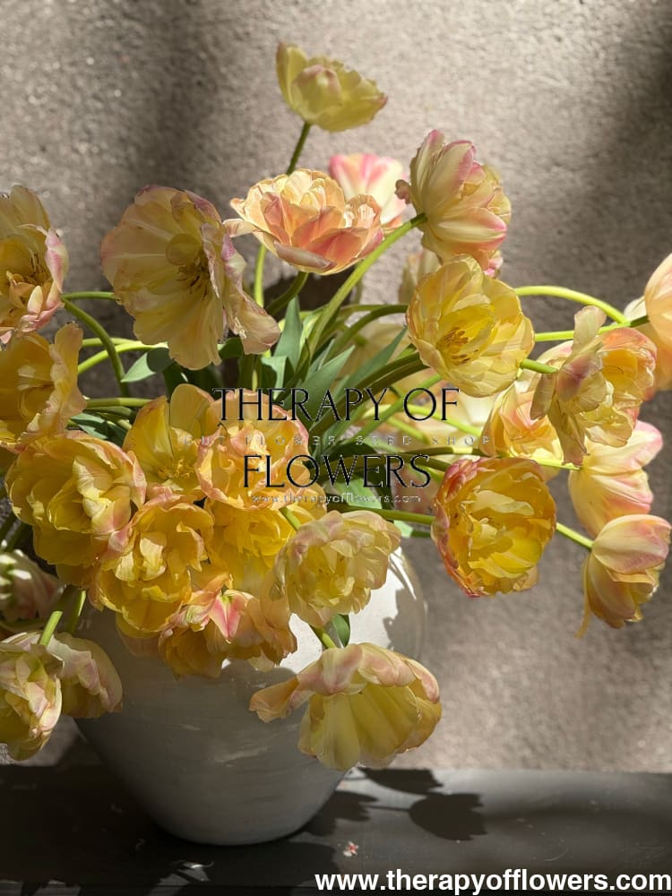 Tulip Creme Upstar | Fragrant Double Late Tulip therapyofflowers.com