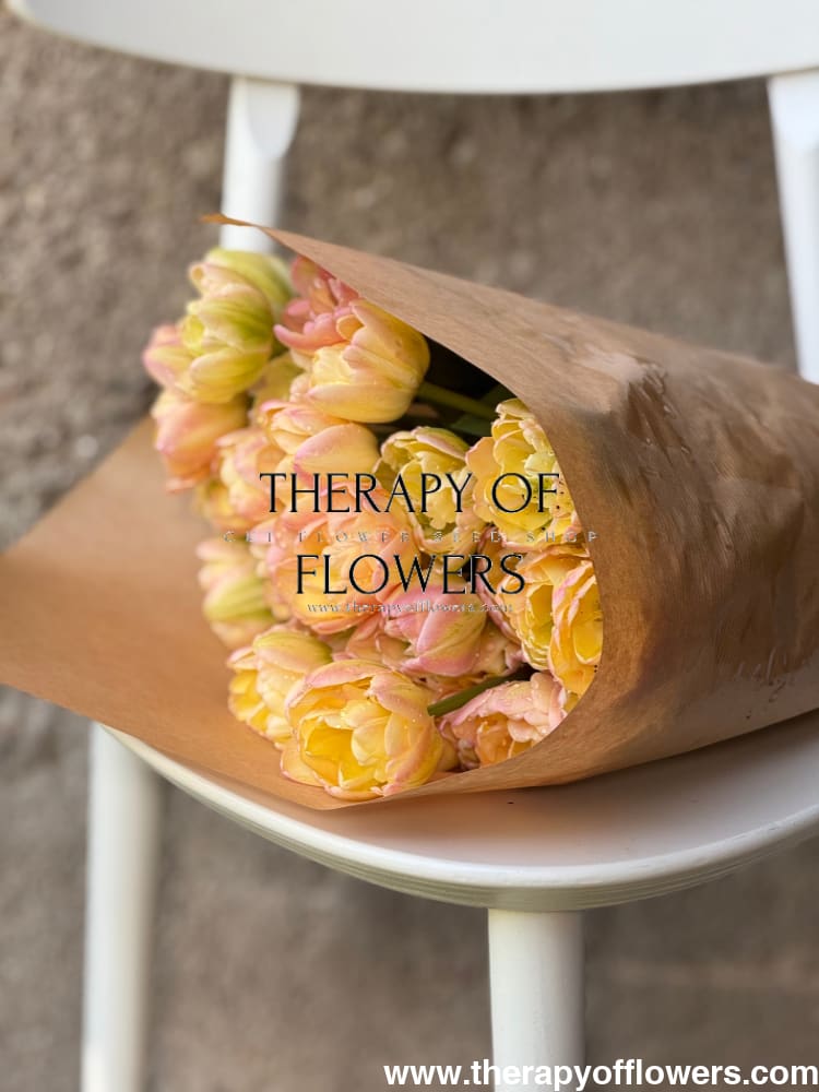 Tulip Creme Upstar | Fragrant Double Late Tulip therapyofflowers.com