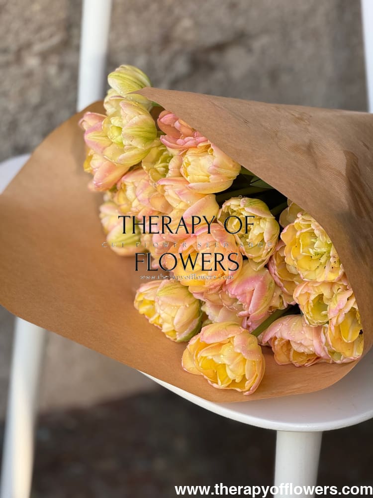 Tulip Creme Upstar | Fragrant Double Late Tulip therapyofflowers.com