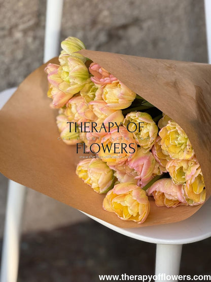 Tulip Creme Upstar | Fragrant Double Late Tulip therapyofflowers.com