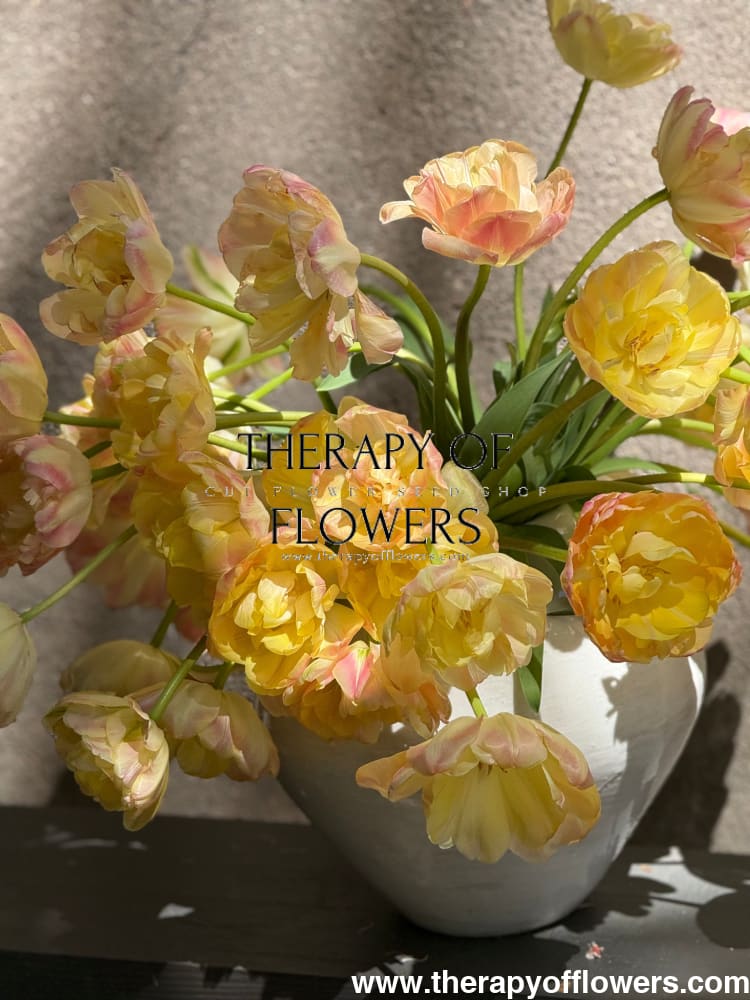 Tulip Creme Upstar | Fragrant Double Late Tulip therapyofflowers.com