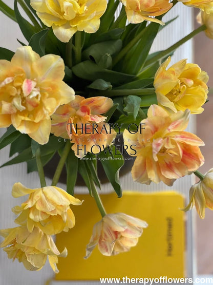 Tulip Foxy Foxtrot | Double Early Tulip therapyofflowers.com