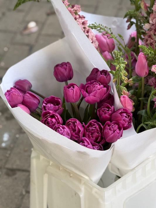 Tulip Margarita | Double Early Tulip therapyofflowers.com