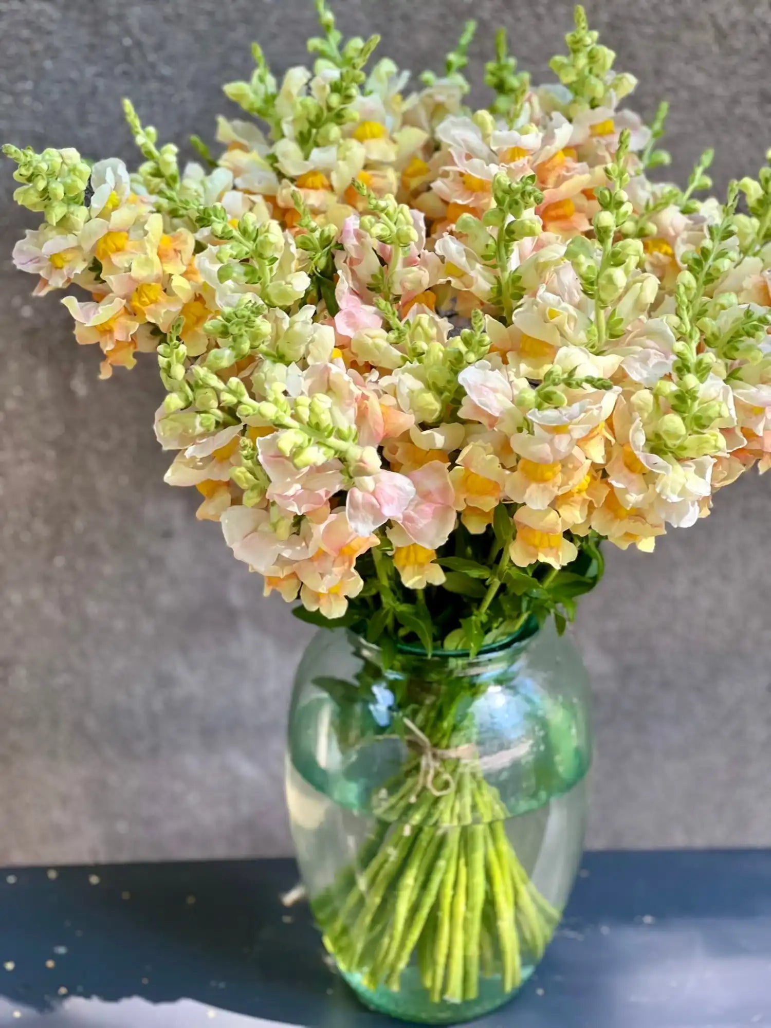 A vibrant bouquet of snapdragons in shades of peach, yellow, and white, with green stems visible in a clear glass vase.