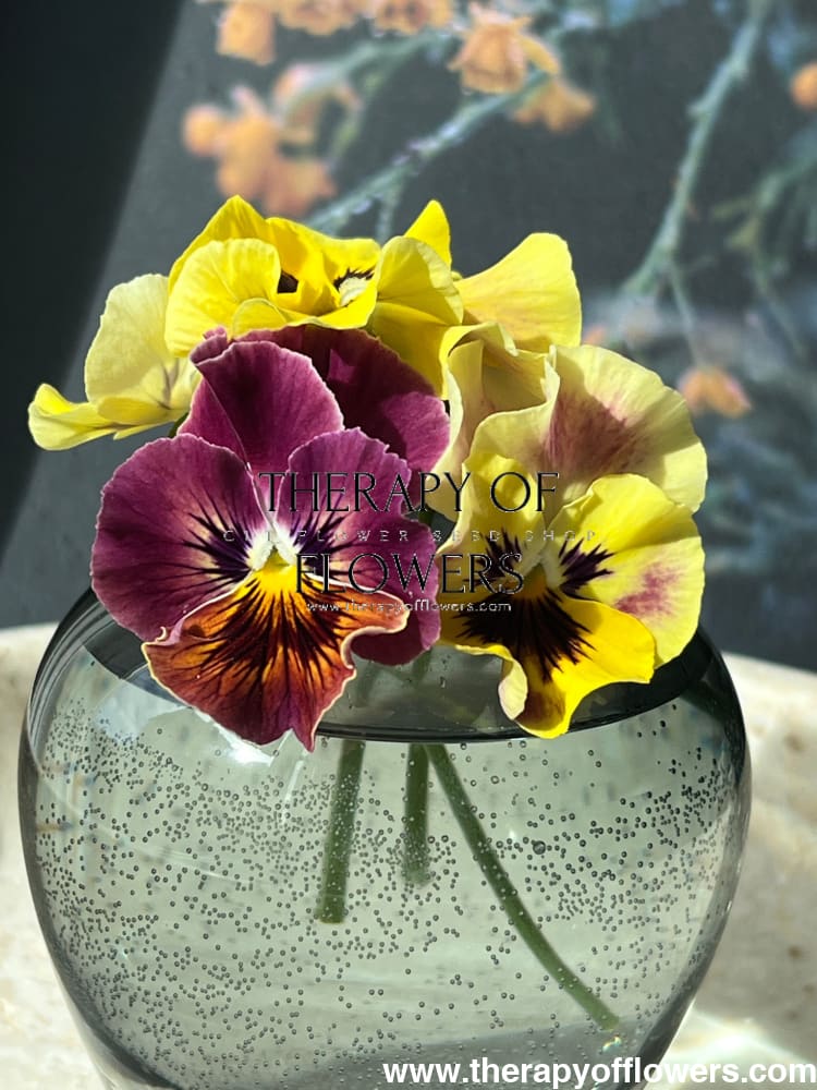 Viola cornuta Frizzle Sizzle Mini Tapestry | Horned Pansy therapyofflowers.com