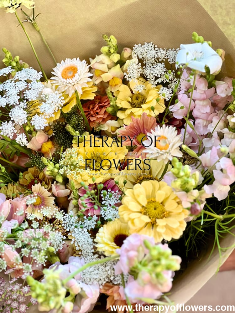 Zinnia elegans Isabellina Creamy Yellow | For Cut Flower Gardens - 0.5 gram / Creamy Yellow - seeds