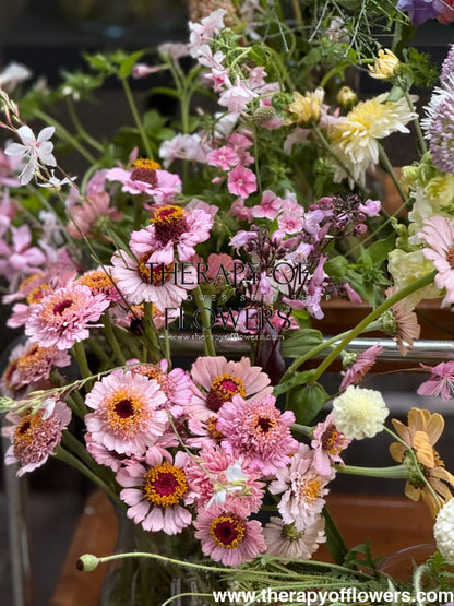 Zinnia elegans Zinderella Lilac therapyofflowers.com
